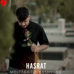 دانلود آهنگ حسرت از مجتبی ترکاشوند