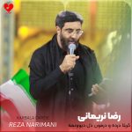 دانلود مداحی کربلا درده و درمون دل دیوونمه