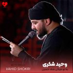 دانلود مداحی به تو میگن شاه حسین سلام الله