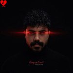 دانلود آهنگ تو منو گرگم کردی تو بزرگم کردی از هونام