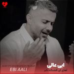 دانلود آهنگ آهای ای قشنگه دلبر (با گیتار) از ابی عالی