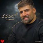 دانلود آهنگ دلتنگتم خیلی لیلی لیلی لیلی تو که نباشی پیش من به زندگی میلی