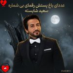 دانلود آهنگ عددای باغ پستش رقمای بی شماره + ریمیکس