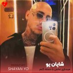 دانلود آهنگ میندازی عکس با دسته گلم موهاتو میخوام جمعش کنم