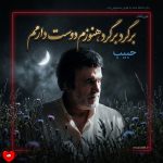 دانلود آهنگ برگرد برگرد هنوزم دوست دارم (هوش مصنوعی) از حبیب