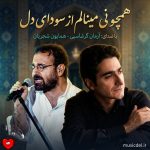 دانلود آهنگ همچو نی مینالم از سودای دل (تمام اجراها)