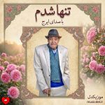 دانلود آهنگ تنها شدم از ایرج خواجه امیری