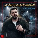 دانلود آهنگ تو بیا ناز نکن در دل دیوانه من