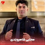 دانلود آهنگ سرهنگ مونه کشت همتون دونستین (ریمیکس لری)