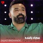 دانلود آهنگ دلم تنگه دلم تنگه دلم تنگ غم دوریت به ای دل شو و روز داره سر جنگ