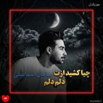 دانلود آهنگ چیا کشید ازت دلم دلم دلم دلم نمیبرید ازت دلم دلم دلم دلم از سامان اسماعیلی