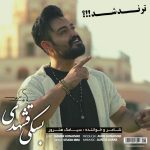 دانلود آهنگ بسکی قشهدی از سیامک هنرور