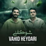 دانلود آهنگ شو کفنی از وحید حیدری