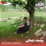 دانلود آهنگ گرگ هار از یوسف جمالی