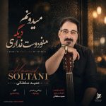 دانلود آهنگ میدونم دیگه منو دوست نداری از حمید سلطانی