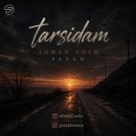 دانلود آهنگ ترسیدم از احمد سلو (ترسیدم ازت بپرسم دوسم داری یه وقت بگی نه)