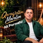 دانلود آهنگ ️قارا گوزلوم از علی پرمهر