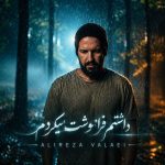 دانلود آهنگ داشتم فراموشت میکردم که یهو شبیه تو دیدم (کنسرت ورژن)