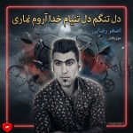 دانلود آهنگ دل تنگم دل تنیام خدا آروم نماری (شیت و لیوت اصغر رضایی)