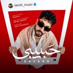 کاور آهنگ حبیبی از ساواش