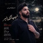 دانلود آهنگ غروب تنگ دلبر از مجید احمدی