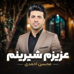 دانلود آهنگ عزیزم شیرینم از محسن احمدی