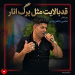 دانلود آهنگ قد بالایت مثل برگ انار از مجتبی شاهروبندی