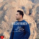 دانلود آهنگ ناشیانه از مرتضی لطیفی (چه ناشیانه زدی قلبمو شکستی)