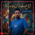 دانلود آهنگ شال سرت باز کن یاره بهونه گیرم از سعید کریمی