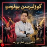 دانلود آهنگ ترکی گوزلیرسن یولومو از شاهین زین العابدین زاده
