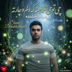 دانلود آهنگ چی توی نگاهته که دلم دچارته از چیزی نترس دل من نفس نفس کنارته