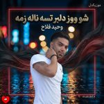 دانلود آهنگ شو روز دلبر تسه ناله زمه از وحید فلاح
