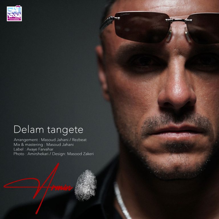 دلم تنگته cover
