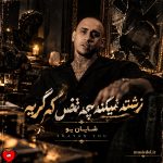 دانلود آهنگ زشته نمیکنه بچه تخس که گریه + ریمیکس