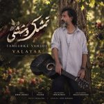 دانلود آهنگ تمشک وحشی از والایار