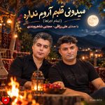 دانلود آهنگ میدونی قلبم آروم نداره تو سینه من یه بیقراره (تمام اجراها + ریمیکس)
